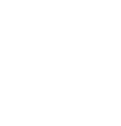 Terra Charleston